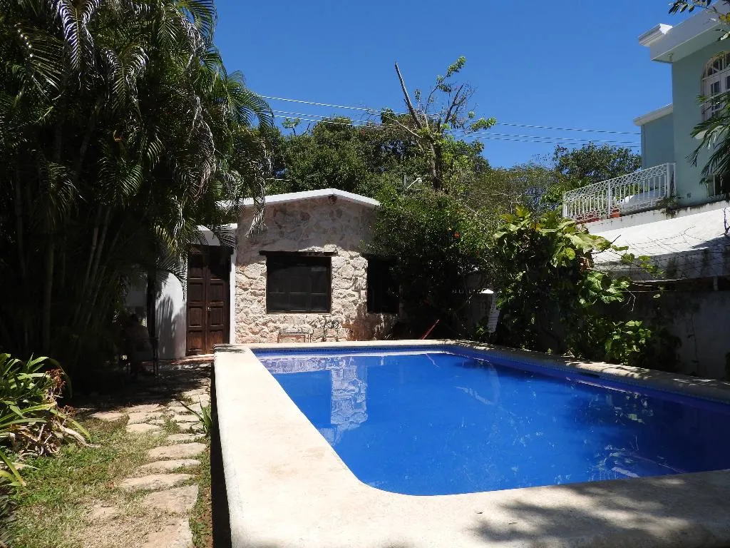 Pool, Casaejido, Playa Del Carmen