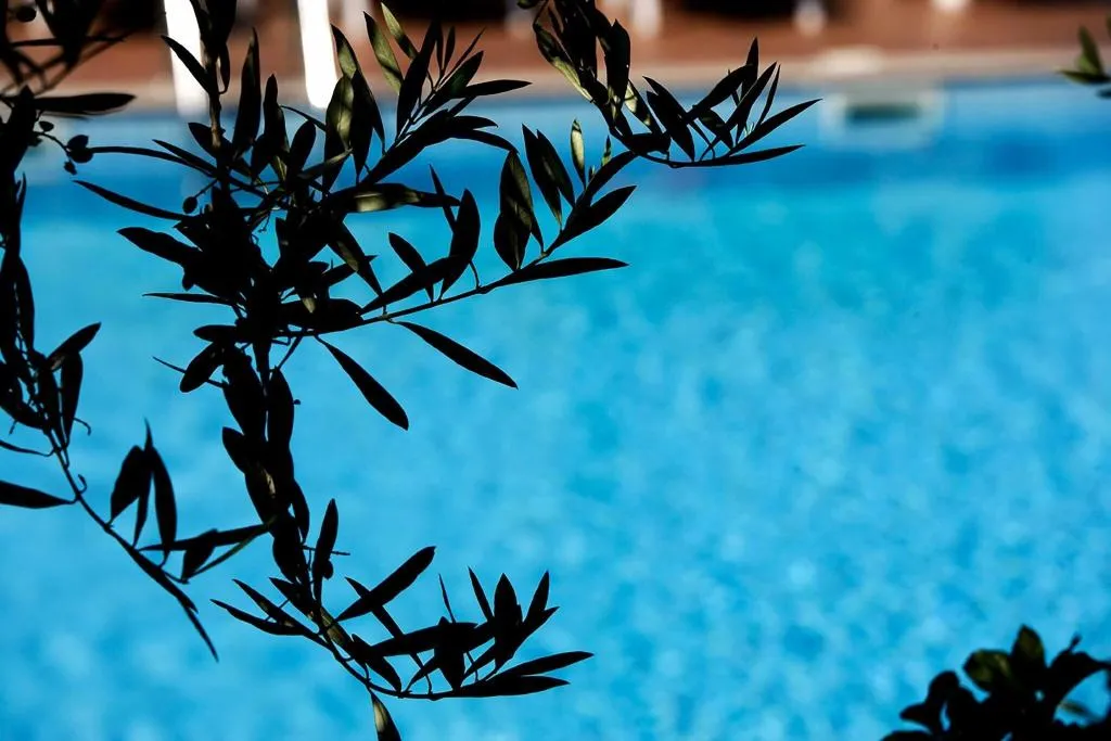 Pool, Hotel La Terrazza, Perugia