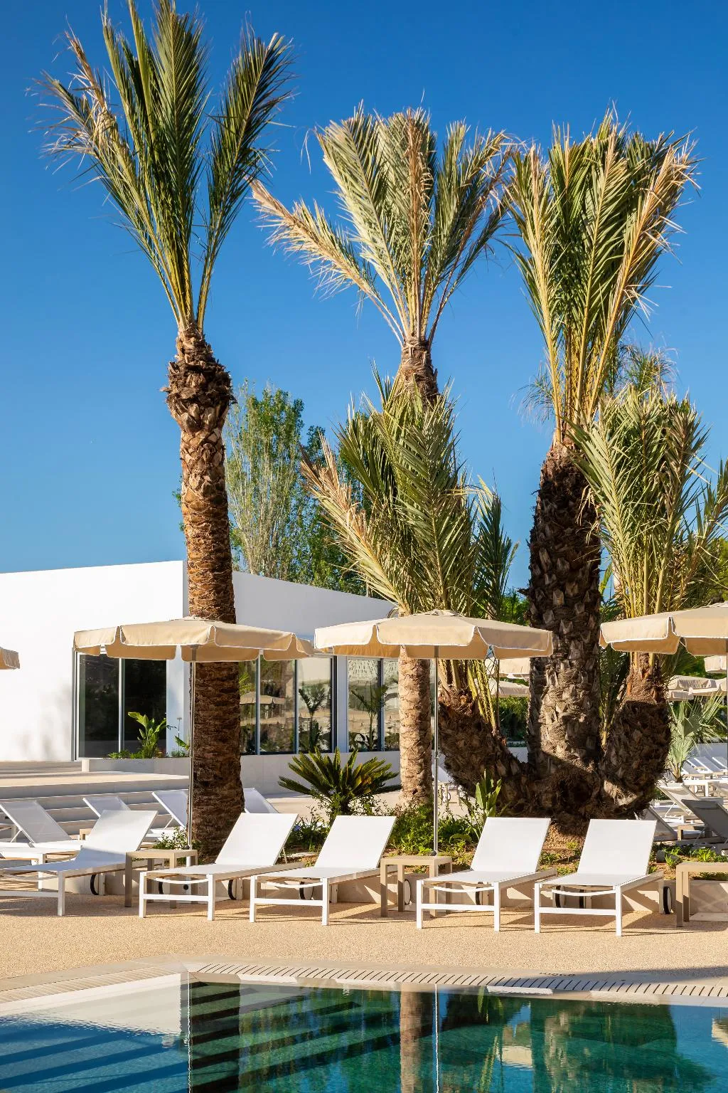 Pool, Atzavara Hotel Spa, Costa Brava