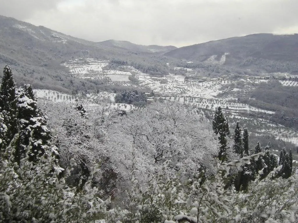 General view, Il Trebbiolo, Florence