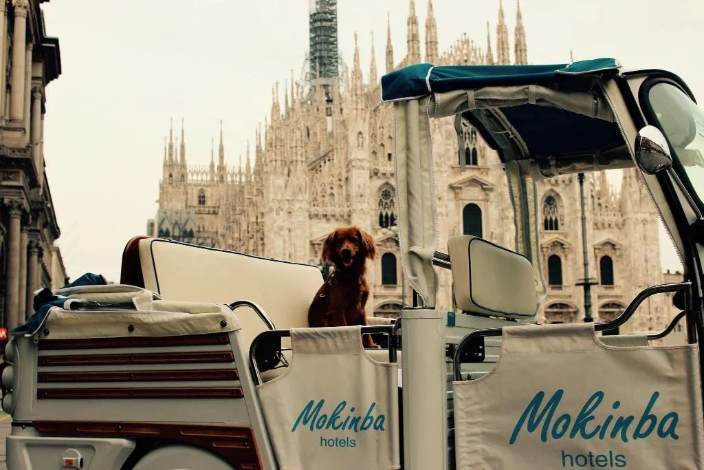 General view, Baviera - Mokinba Hotels, Milan