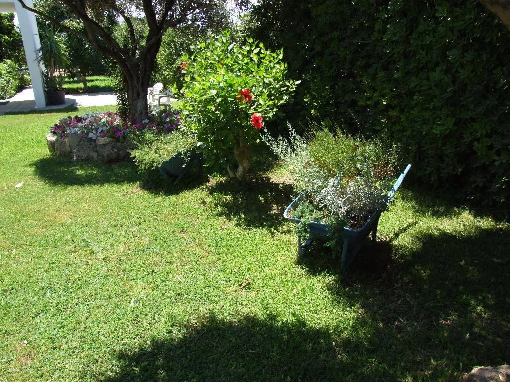 General view, Sokrates Studios, Rhodes