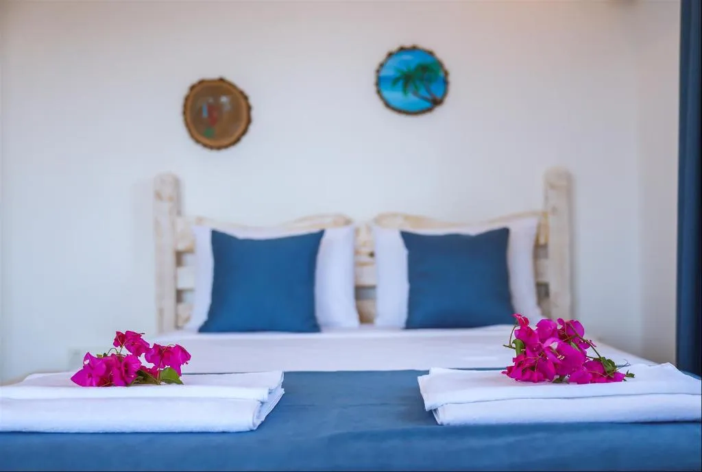 Room STANDARD Room, Alina Otel, Dalaman