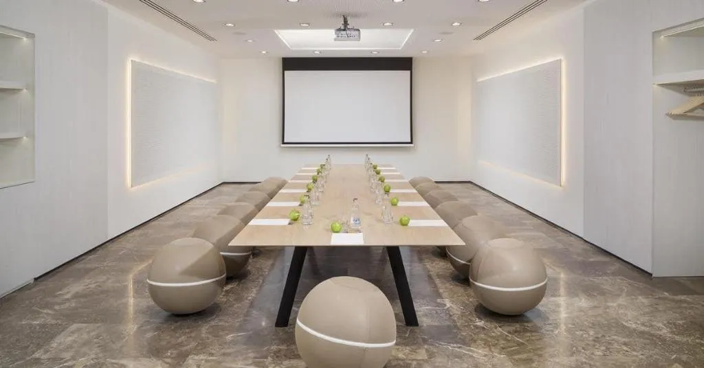 Conferences, Melia Lebreros, Seville