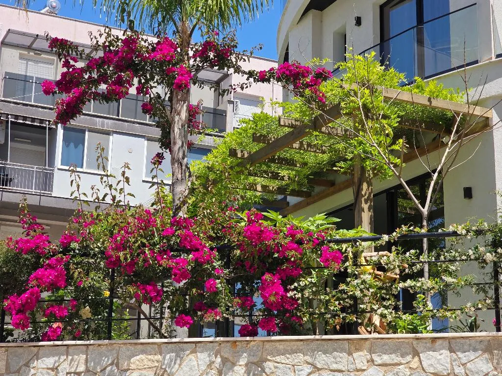 General view, Valza Boutique Hotel, Kavaje