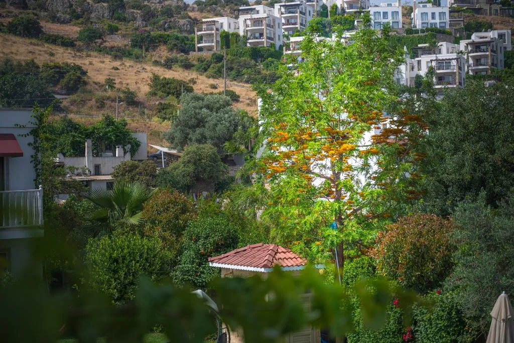 General view, Villa Rustica Hotel, Bodrum