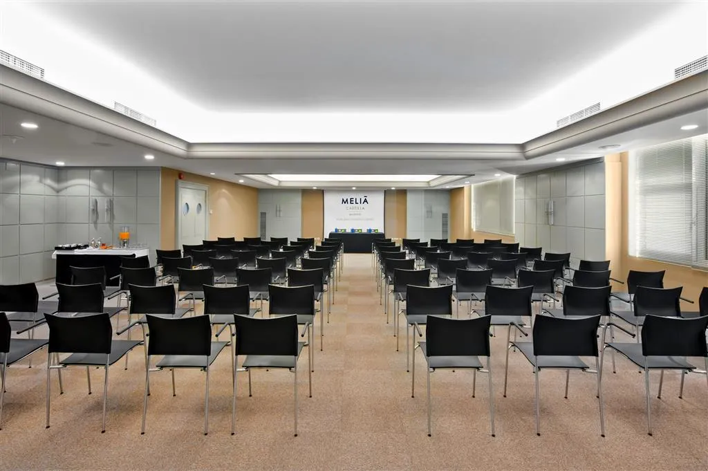 Conferences, Melia Castilla, Madrid