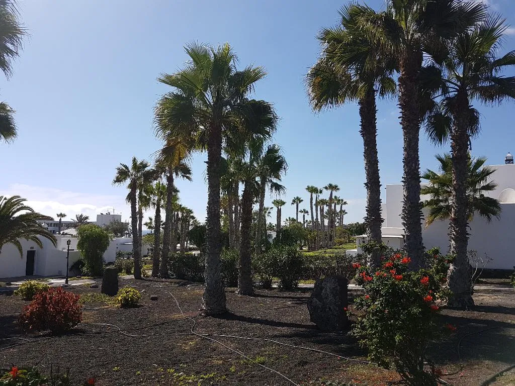 General view, Palmeras Garden, Lanzarote
