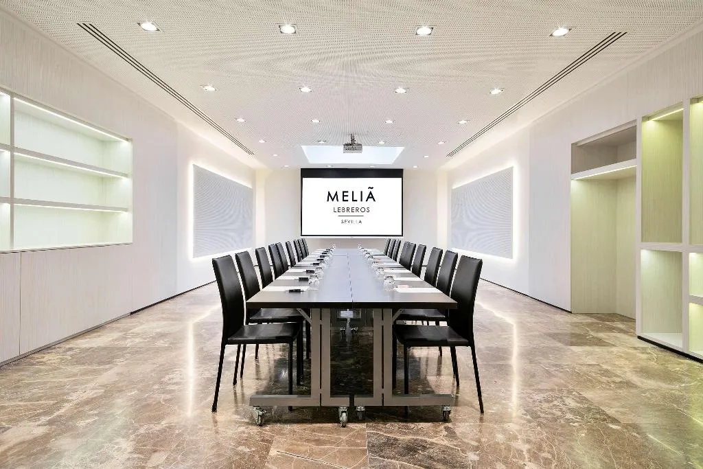 Conferences, Melia Lebreros, Seville