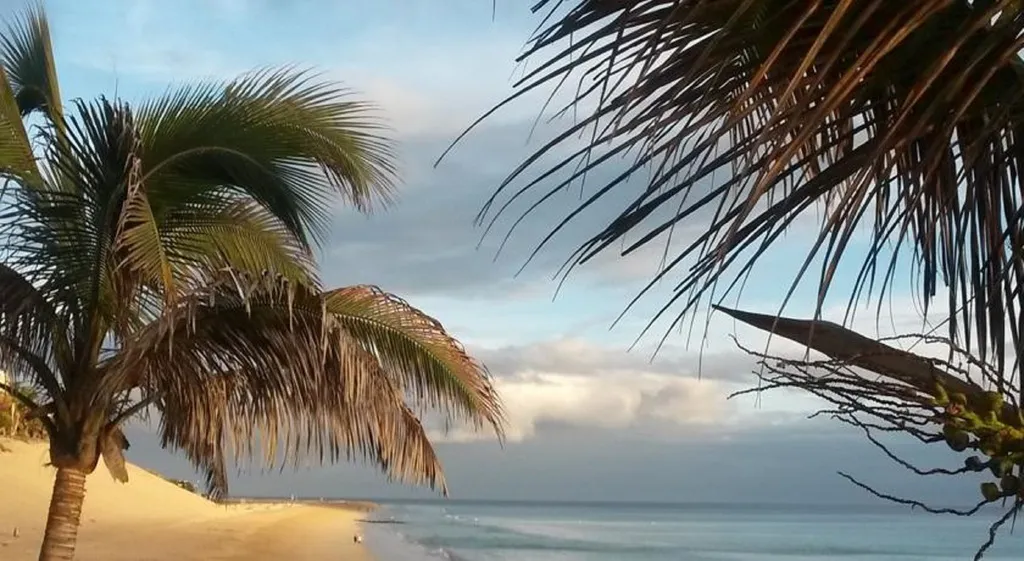 Beach, Apartamentos Palm Garden, Fuerteventura