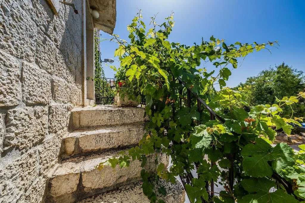 General view, Villa Rustica Dalmatia Depadance, Split