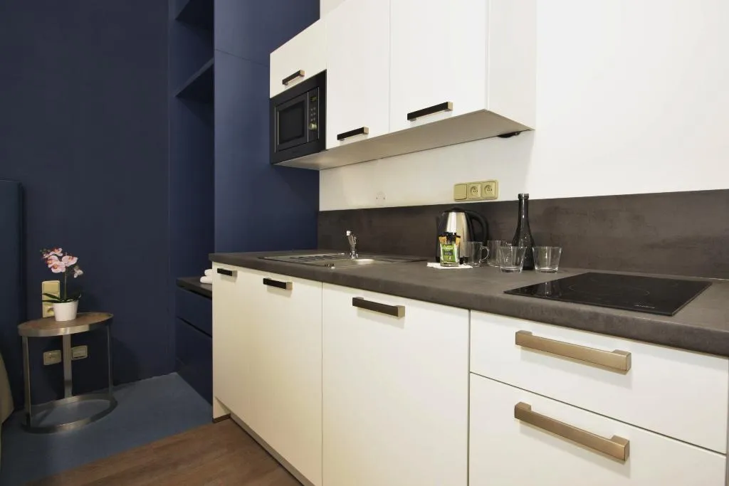 APARTMENT CAPACITY 3 Room, Alveo Suites, Prague