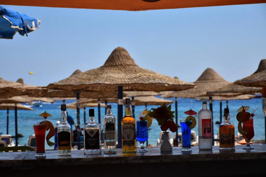 Bar, Gafy Resort Aqua Park, Red Sea Riviera
