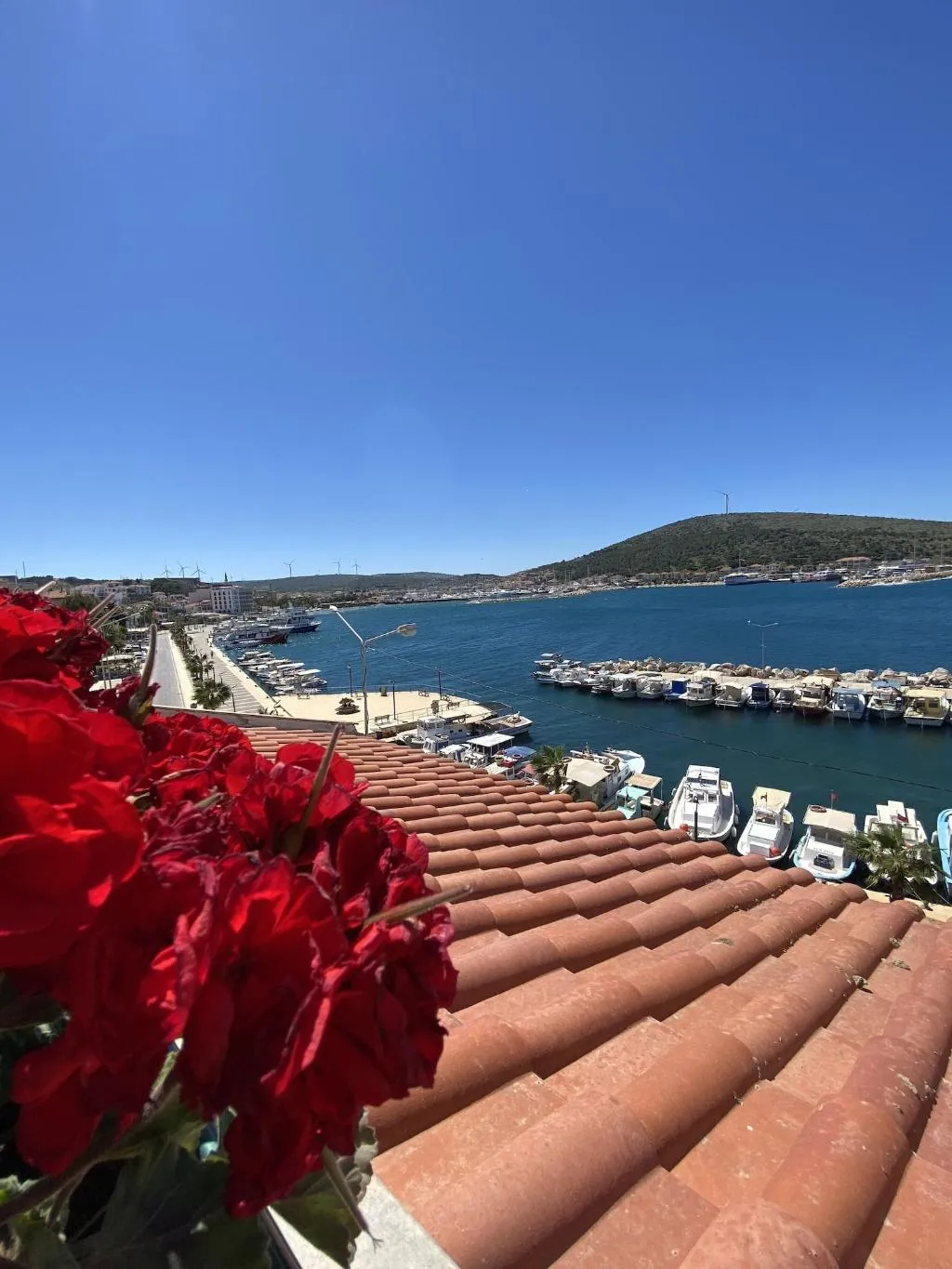 Room, Larimar Boutique Hotel, Izmir