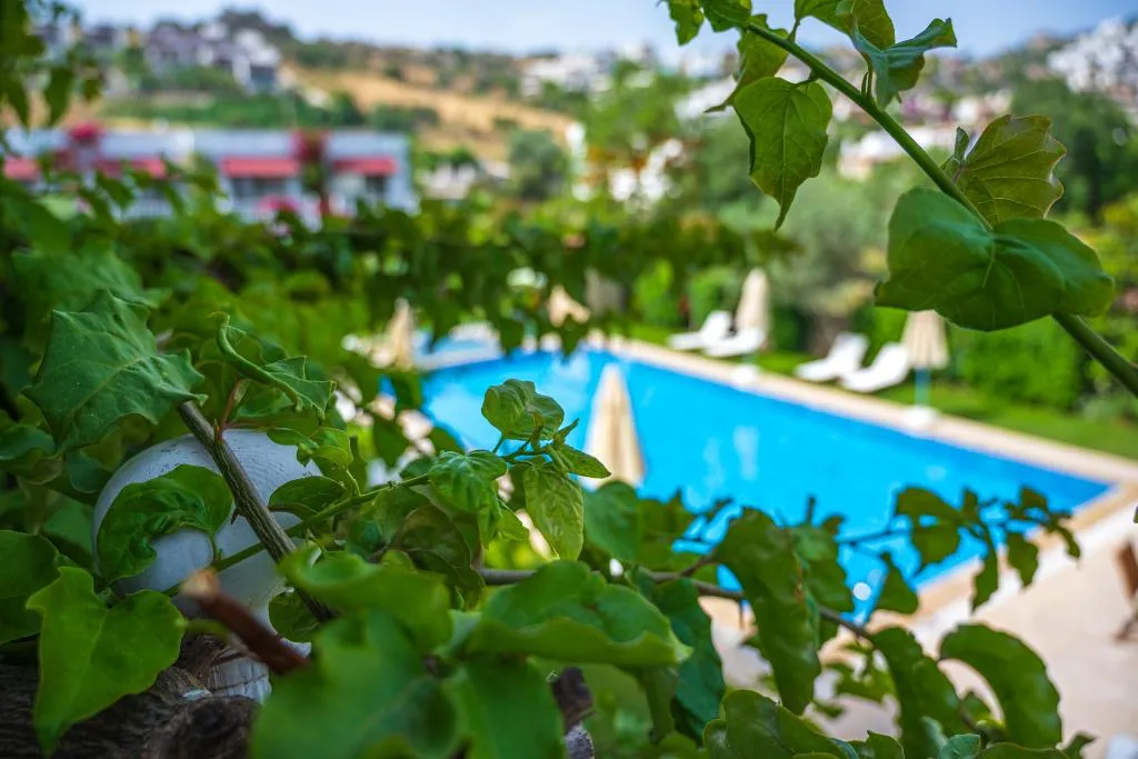 General view, Villa Rustica Hotel, Bodrum