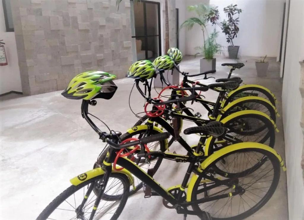 Sports and Entertainment, Sole Suites Apartments Playa del Carmen, Playa Del Carmen