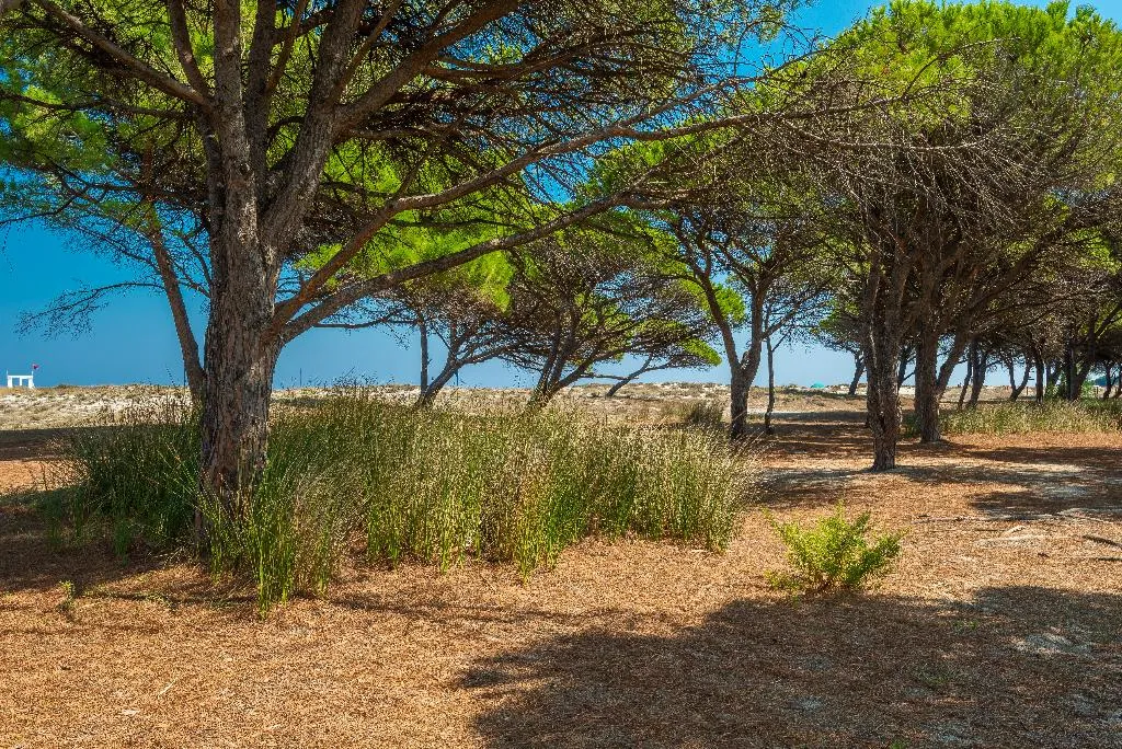 Beach, Le Dimore di Budoni, Olbia