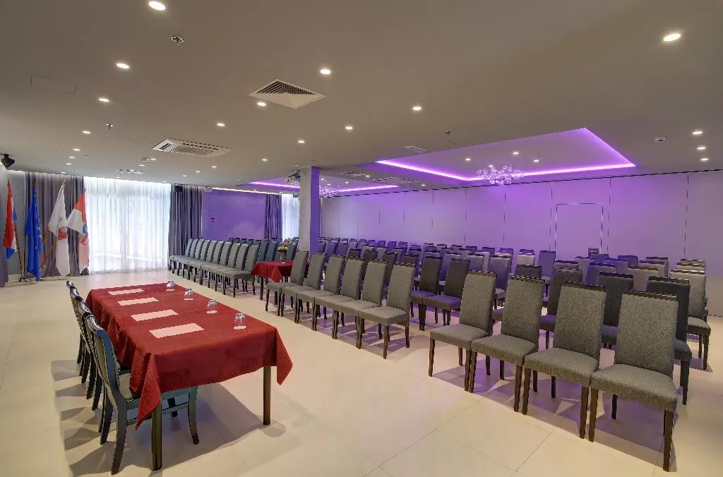 Conferences, Lero, Dubrovnik