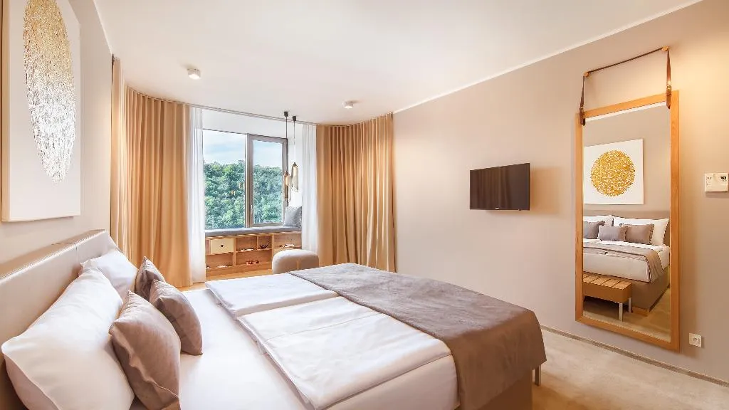 Double or Twin DELUXE Room, The President, Prague