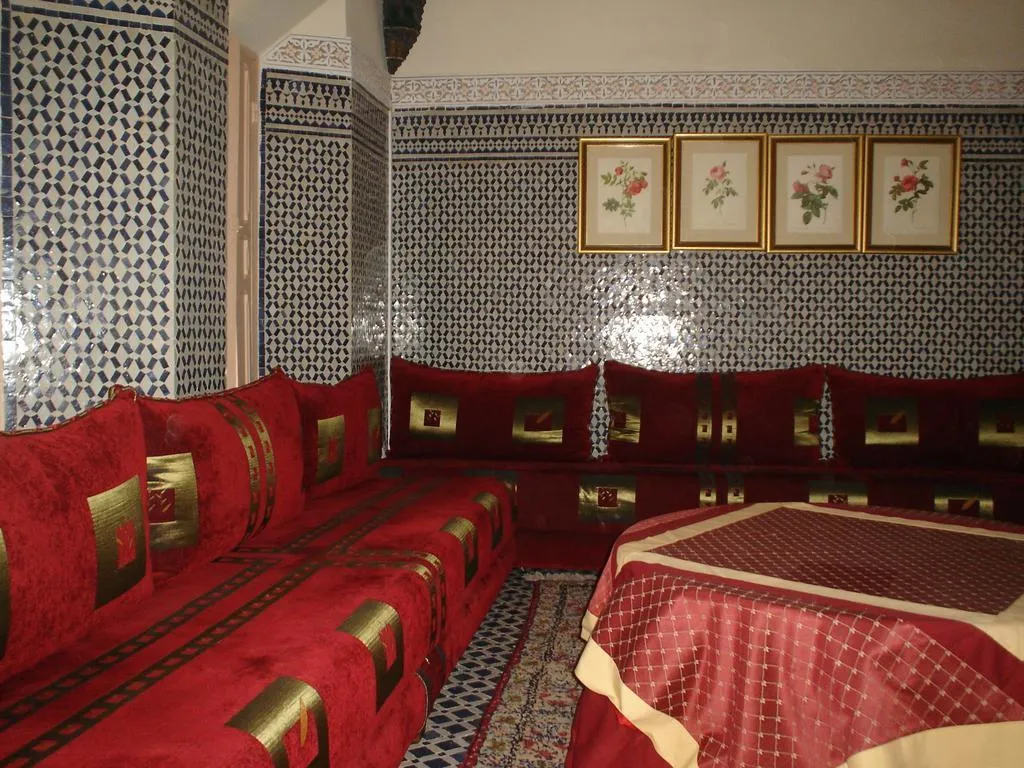 General view, Riad Damia, Fez