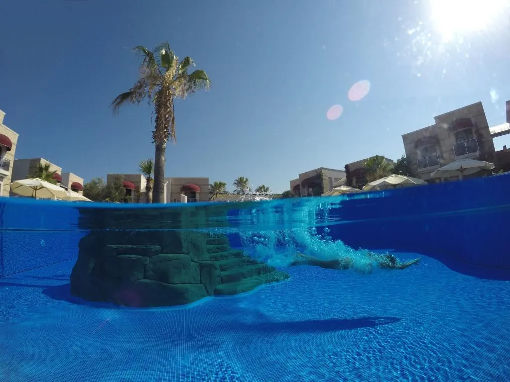 Pool, Bodrium Hotel & Spa, Bodrum
