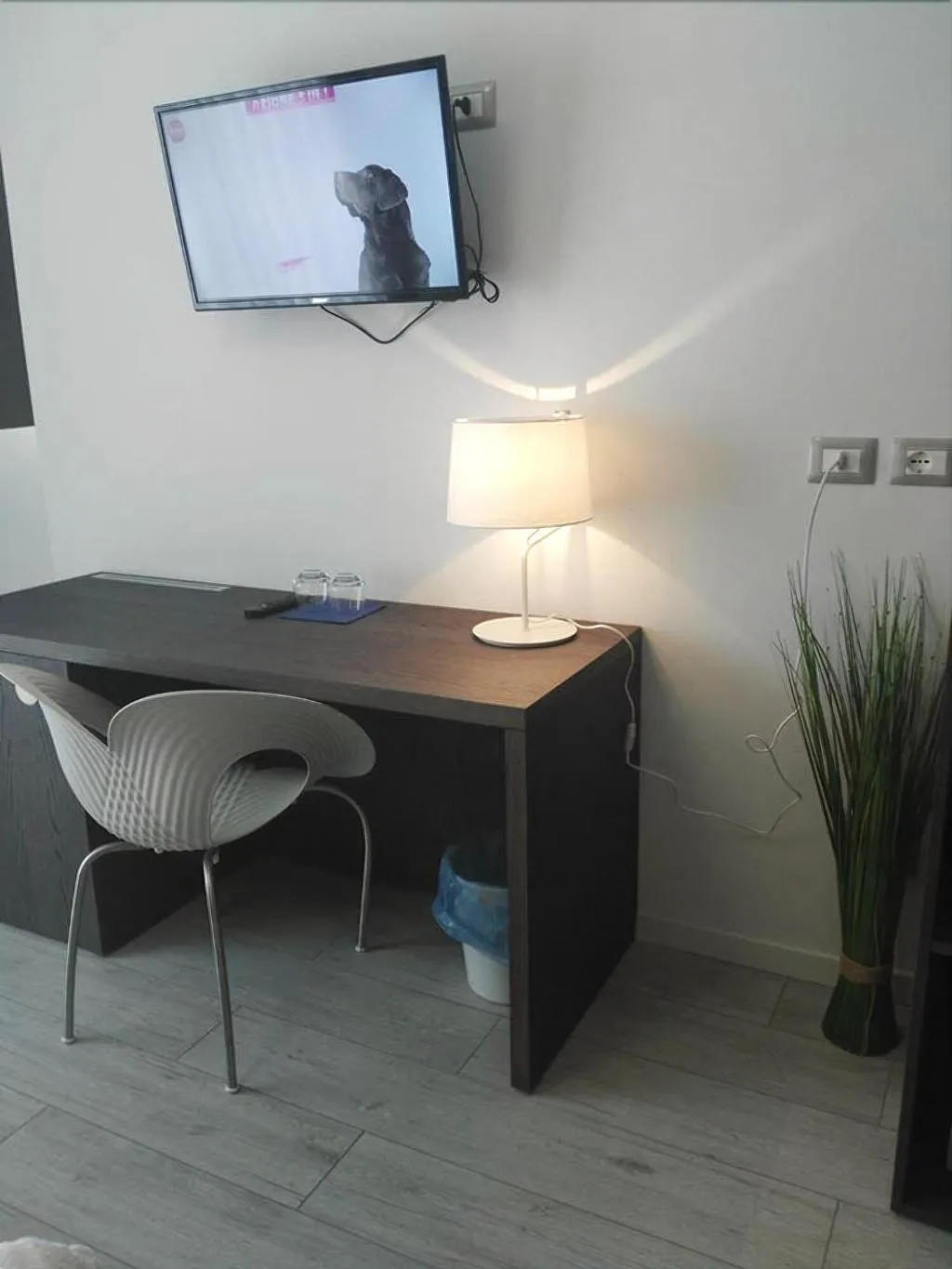 Room, Hotel Lily, Venice