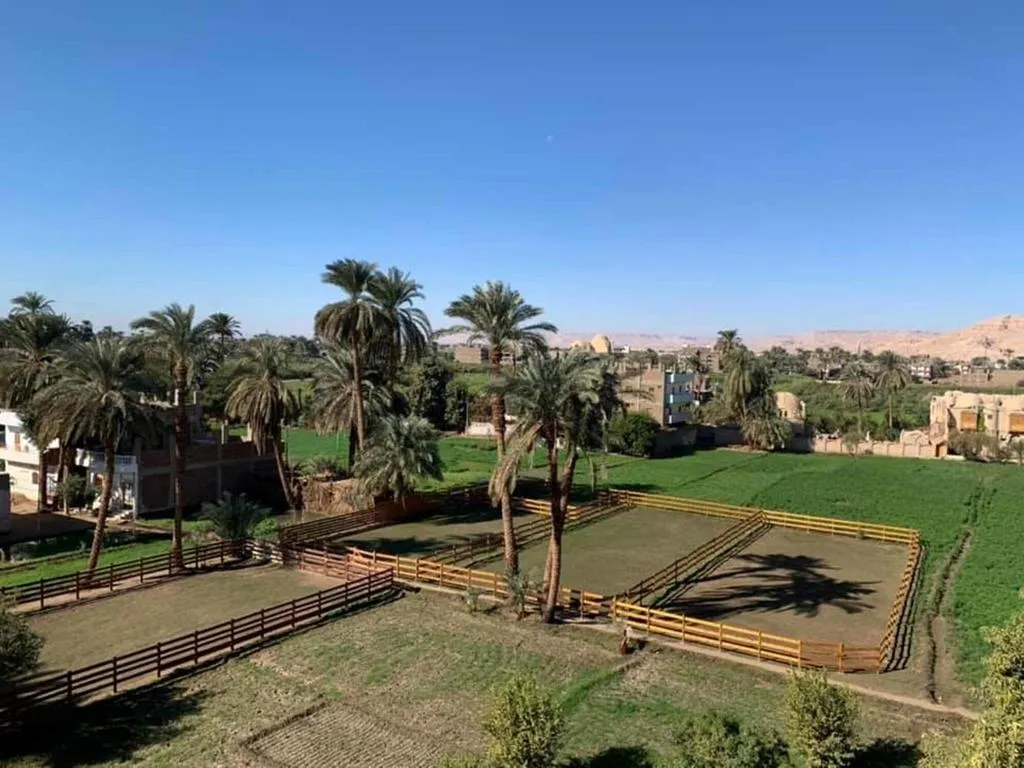 General view, Cleopatra Hotel Luxor, Luxor