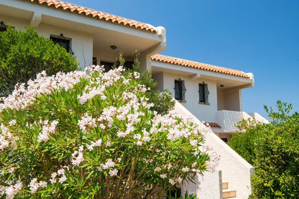 APARTMENT CAPACITY 4 TWO BEDROOMS Room, Residence Baia Santa Reparata, Olbia