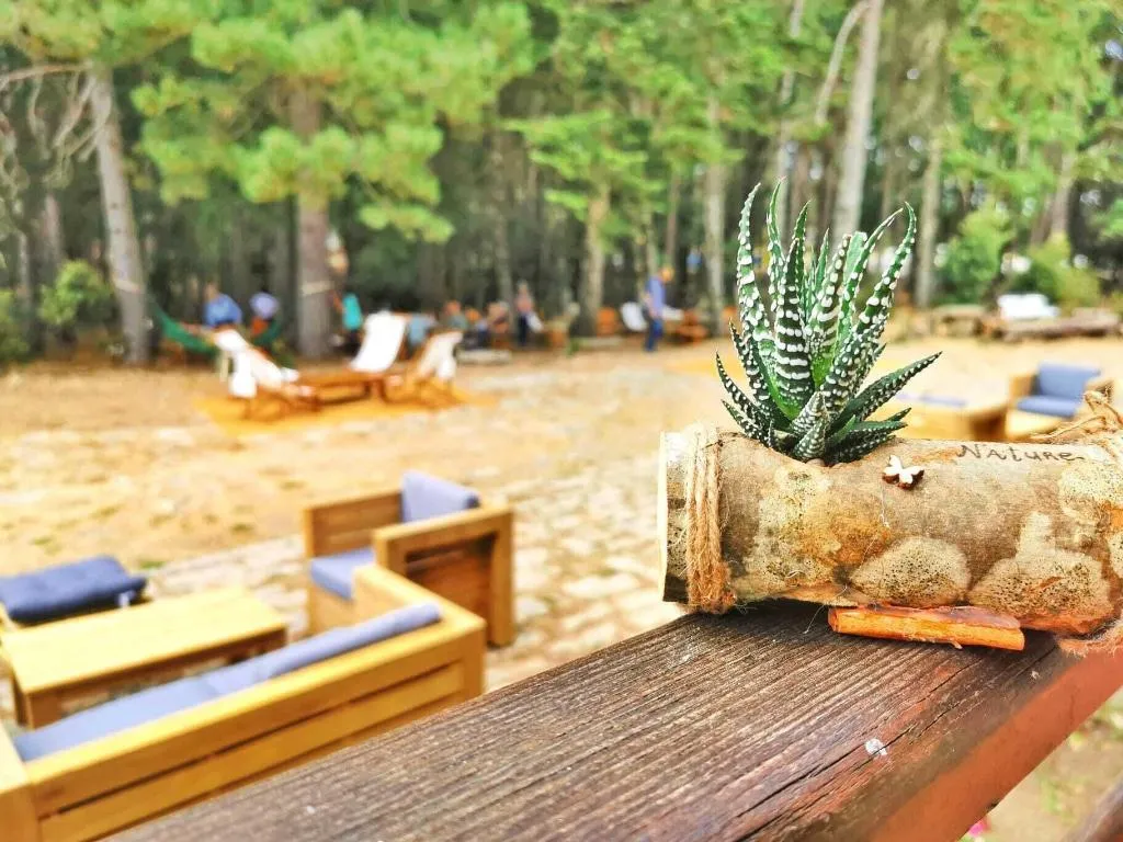 Bar, Vallicciola Nature Hotel, Alghero