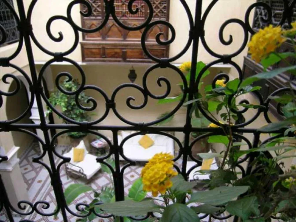 General view, Riad Dar Tuscia, Marrakech