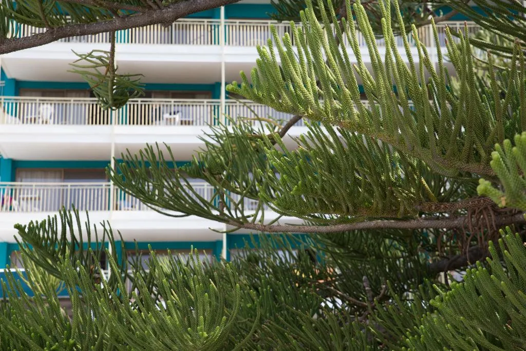 General view, Almirante Hotel, Costa Blanca