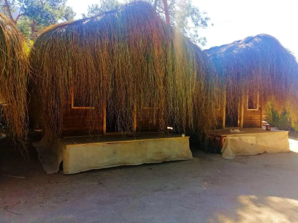 Room, Green Pine Beach & Bungalows Luxury Concept, Dalaman