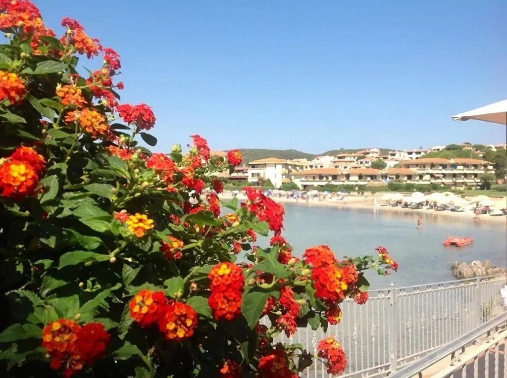 Restaurant, Terza Spiaggia and la Filasca, Olbia