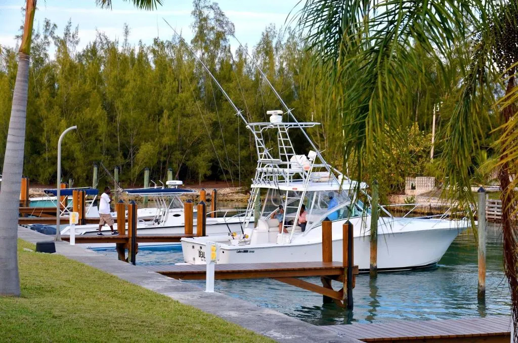 Beach, Dolphin Cove - Adults Only, Freeport