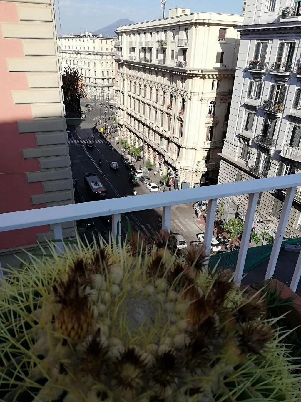 Terrace, Hotel Airone Napoli, Naples