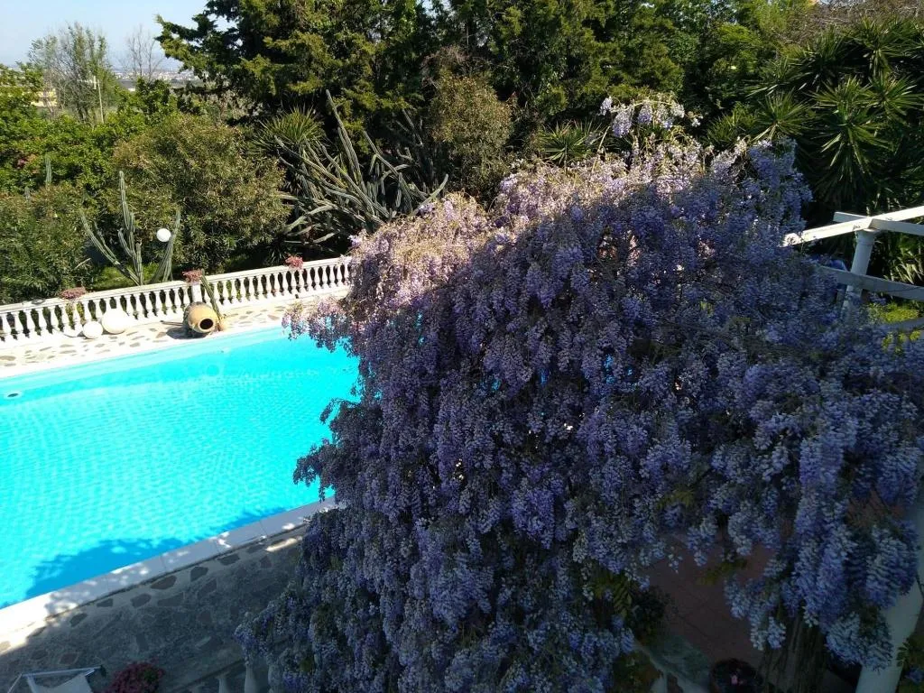 Sports and Entertainment, b&b la marchesa, Naples