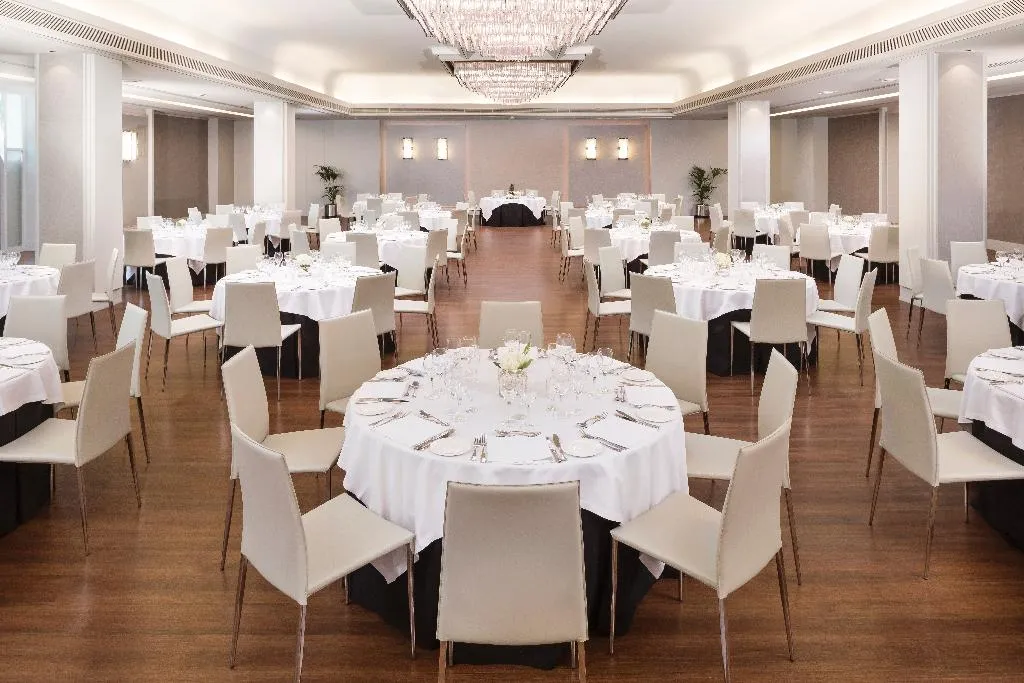 Conferences, Melia Castilla, Madrid