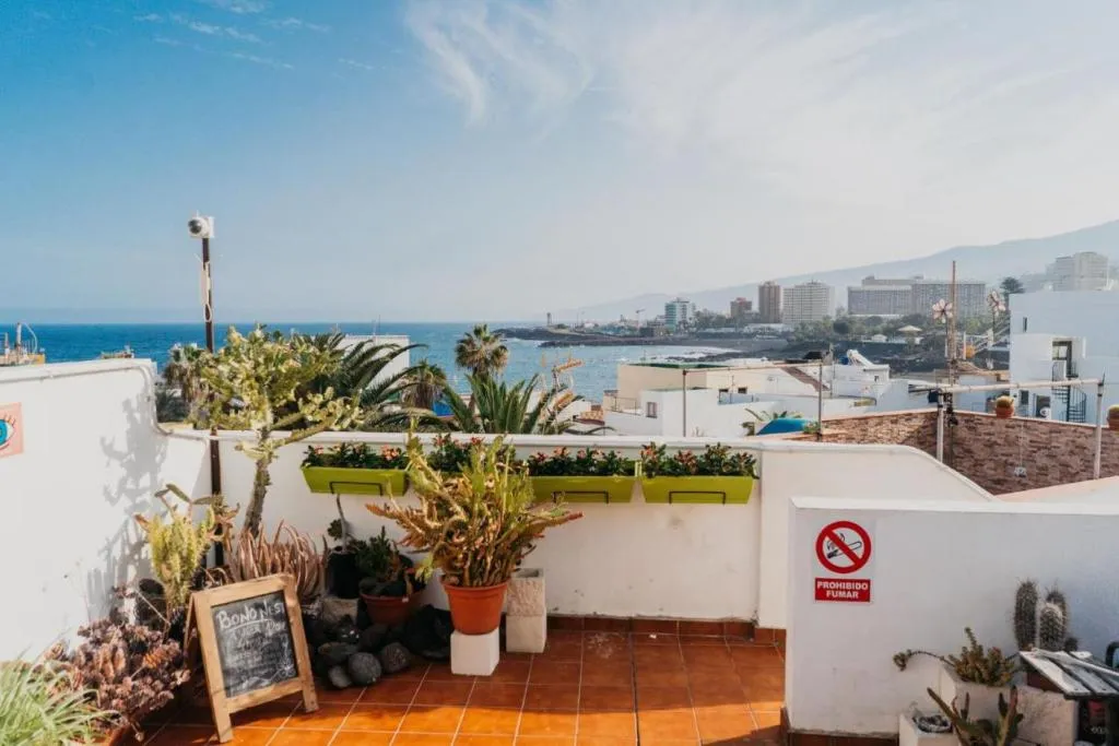 Terrace, Puerto Nest Hostel, Tenerife