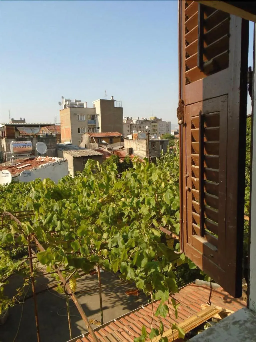 General view, Lotus Garden Hostel, Izmir