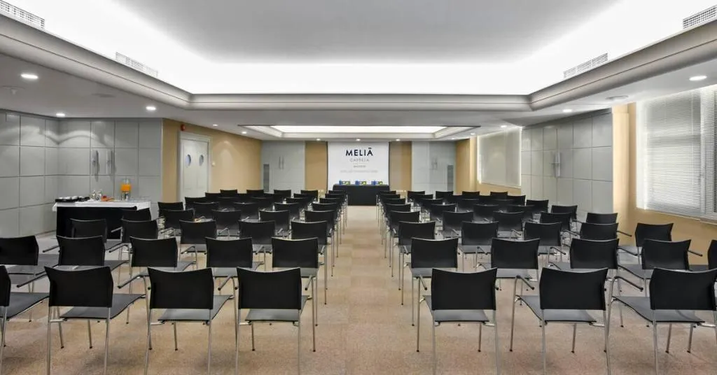 Conferences, Melia Castilla, Madrid