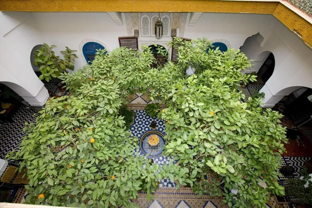 Terrace, Riad El Borj, Marrakech
