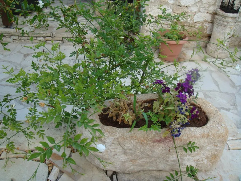 General view, Avalon Village Houses, Cyprus