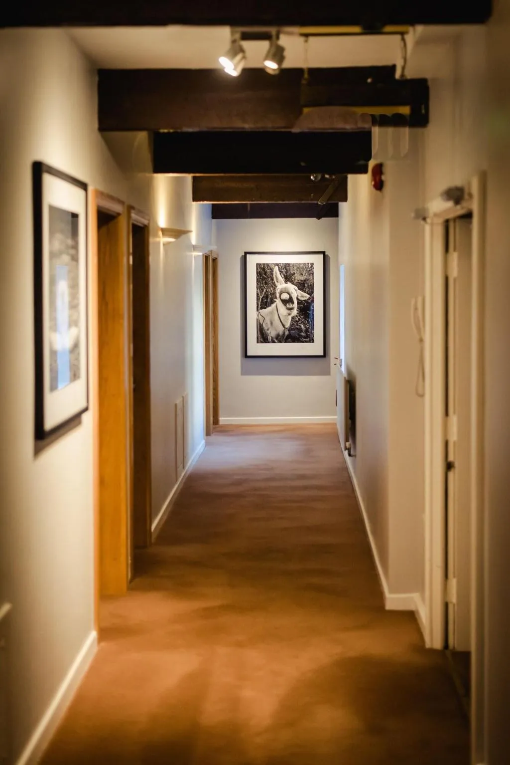 Lobby, Isaac's Cork, Cork