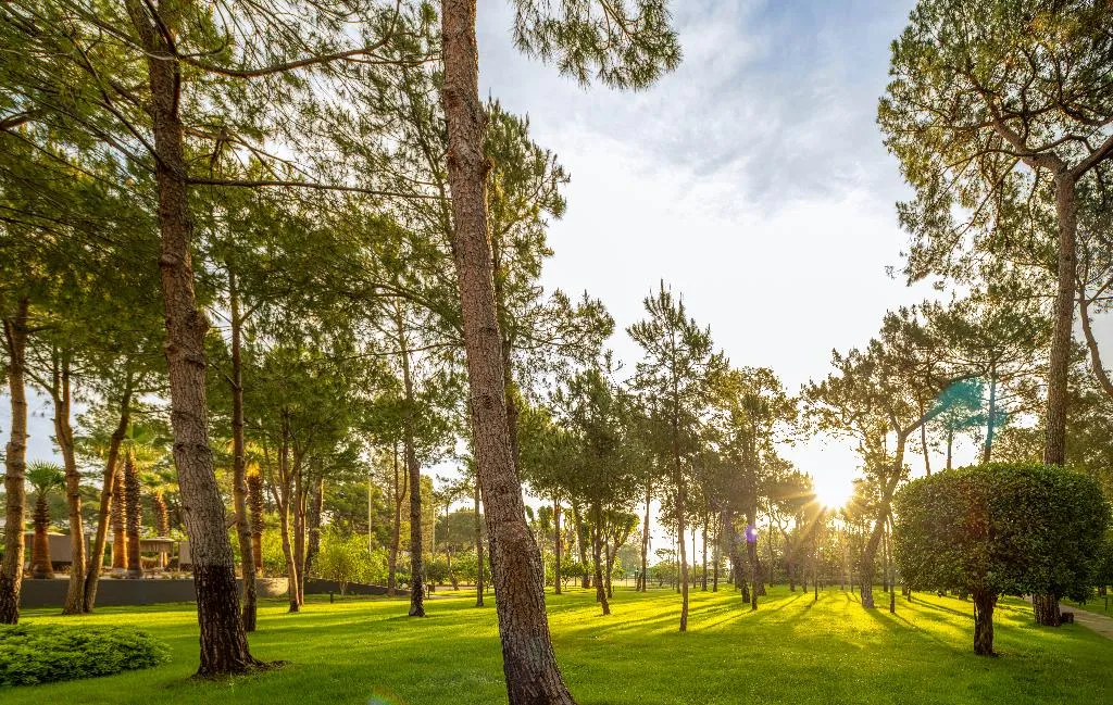 General view, Balmy Foresta, Antalya