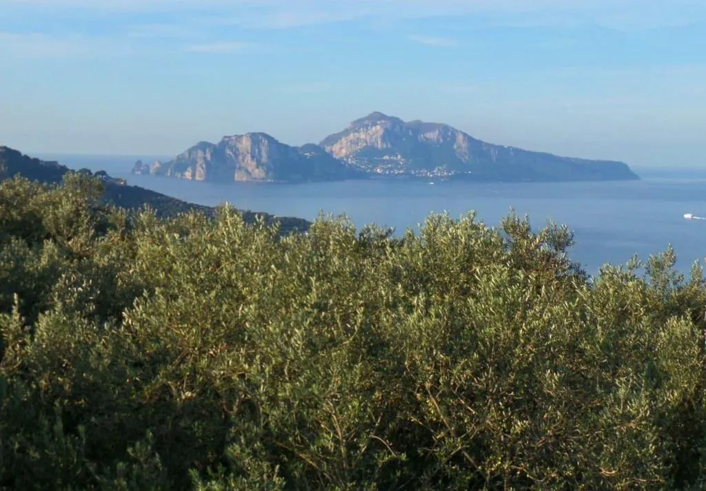 General view, Relais Palazzo del Barone - Adults Only, Naples