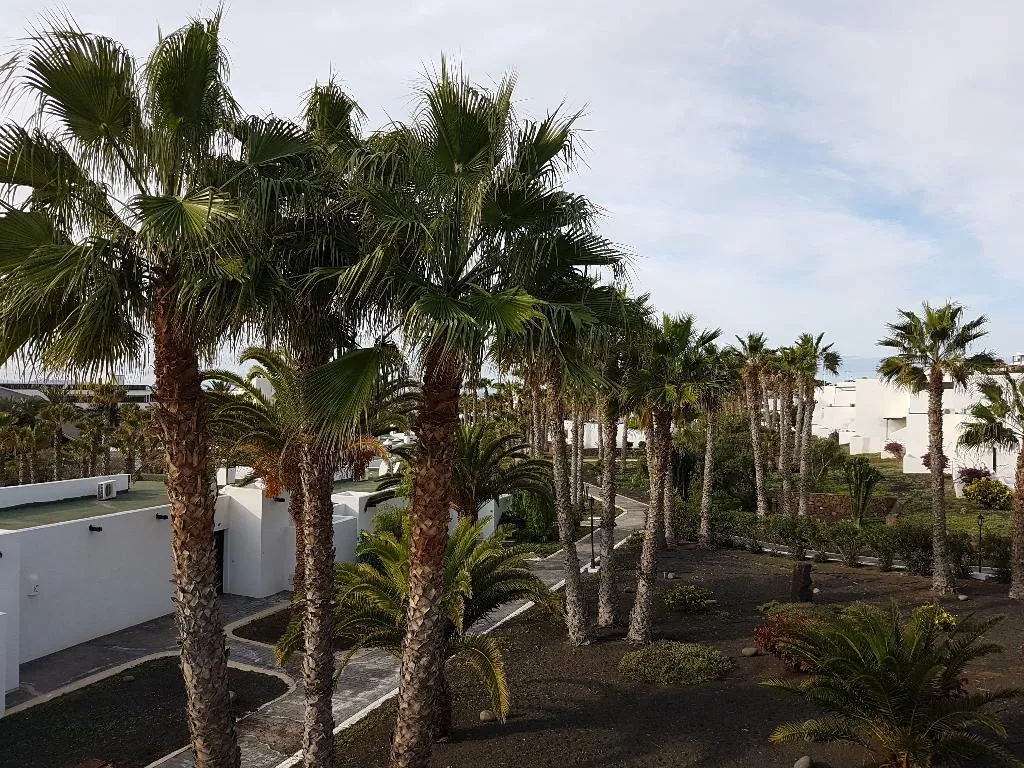 General view, Palmeras Garden, Lanzarote
