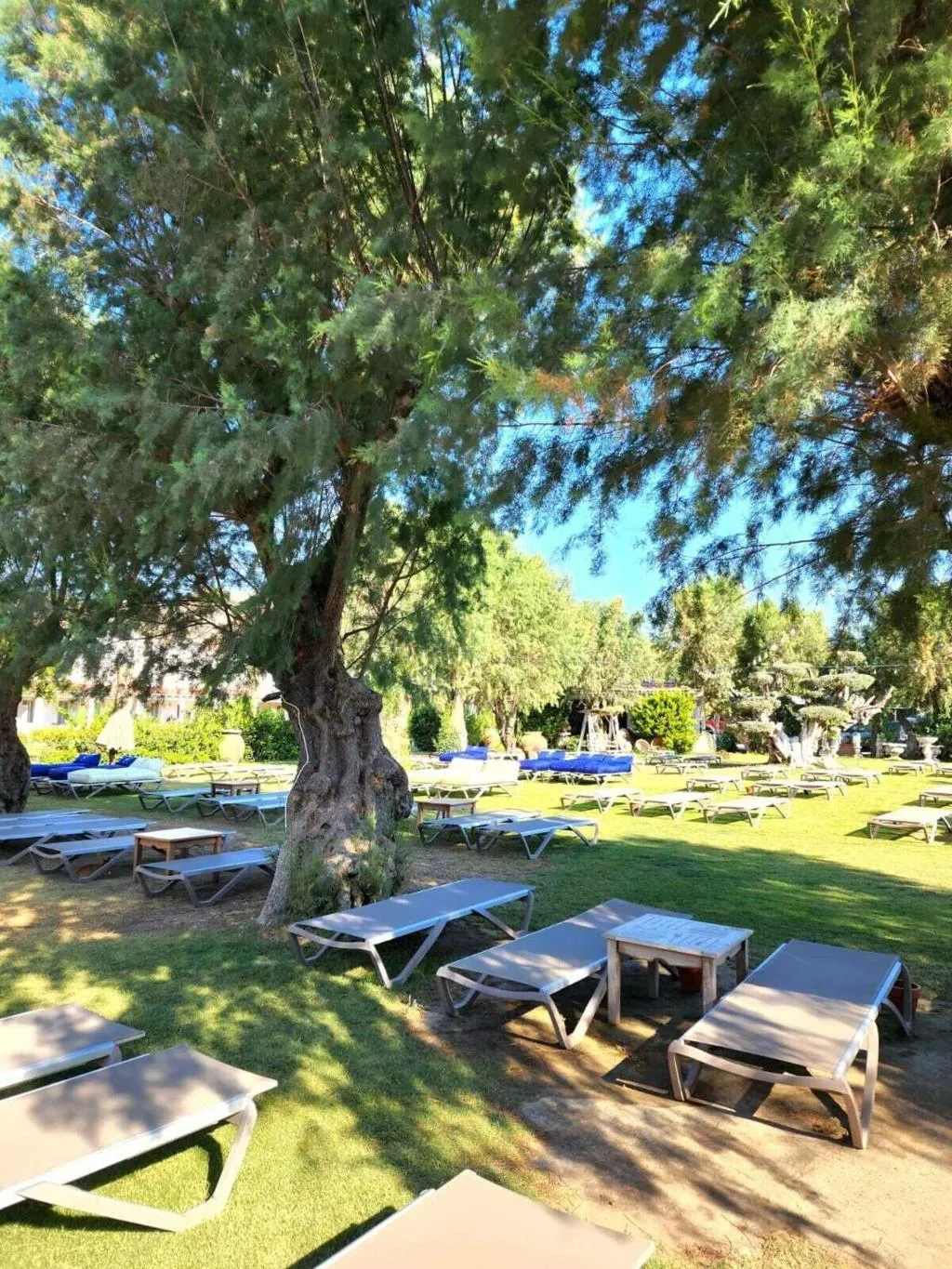 General view, Kefi Beach And Suites, Bodrum
