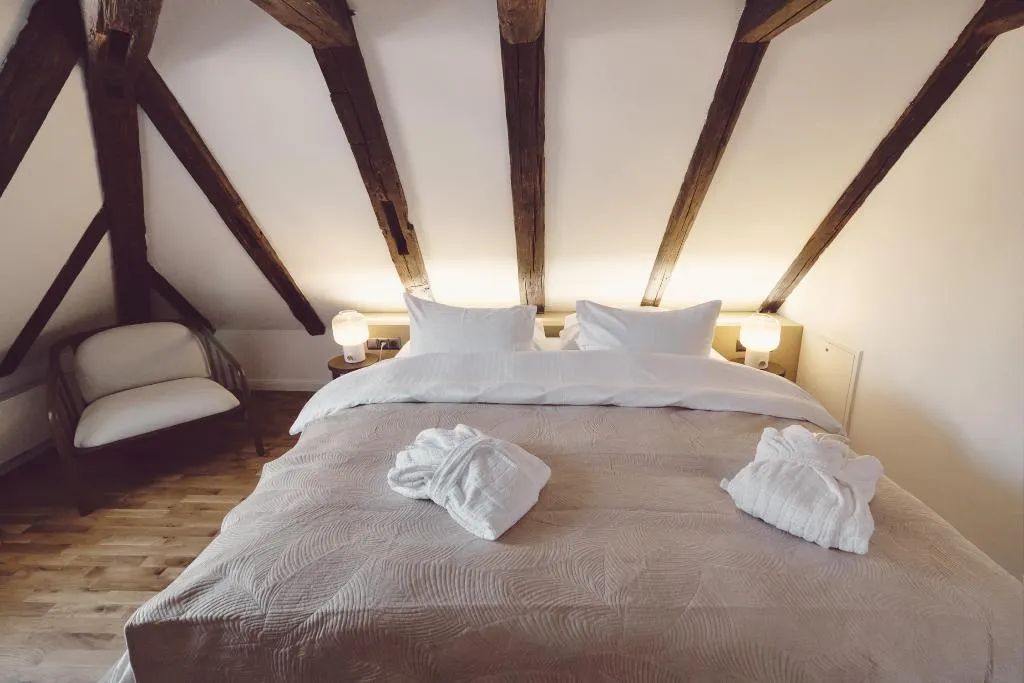 DOUBLE DELUXE Room, Domus Balthasar, Prague
