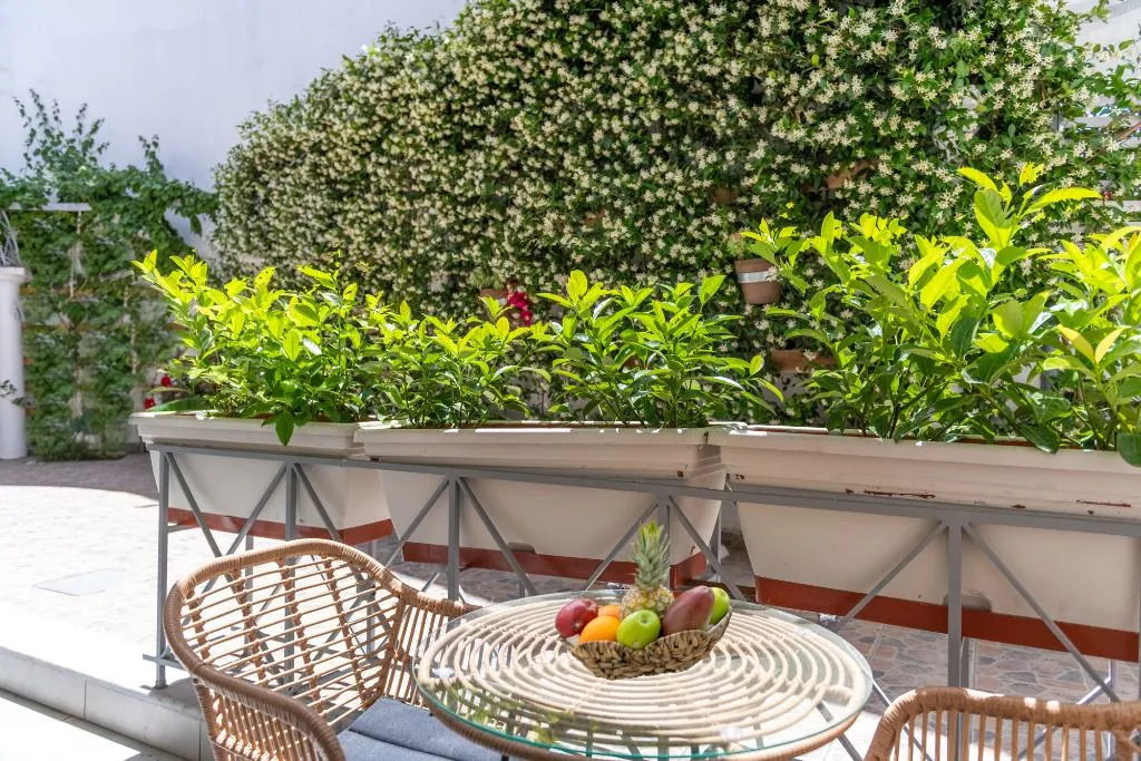 Double or Twin SUPERIOR KING BED Room, Korina Apart Hotel, Corfu