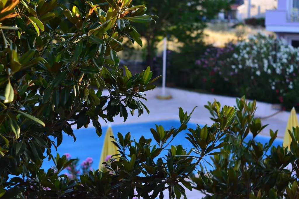 TRIPLE POOL VIEW Room, Cunda Basel Hotel, Izmir